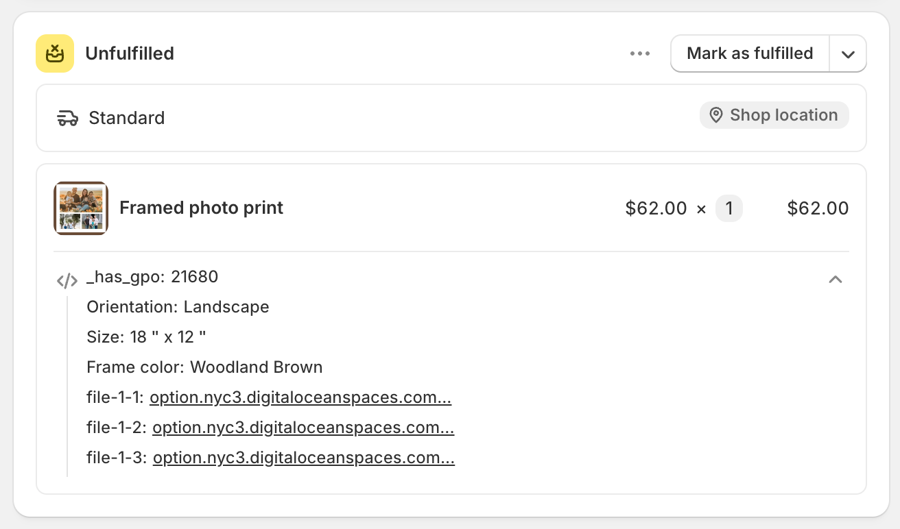 An order in Shopify admin showing a line item with its option details listed underneath