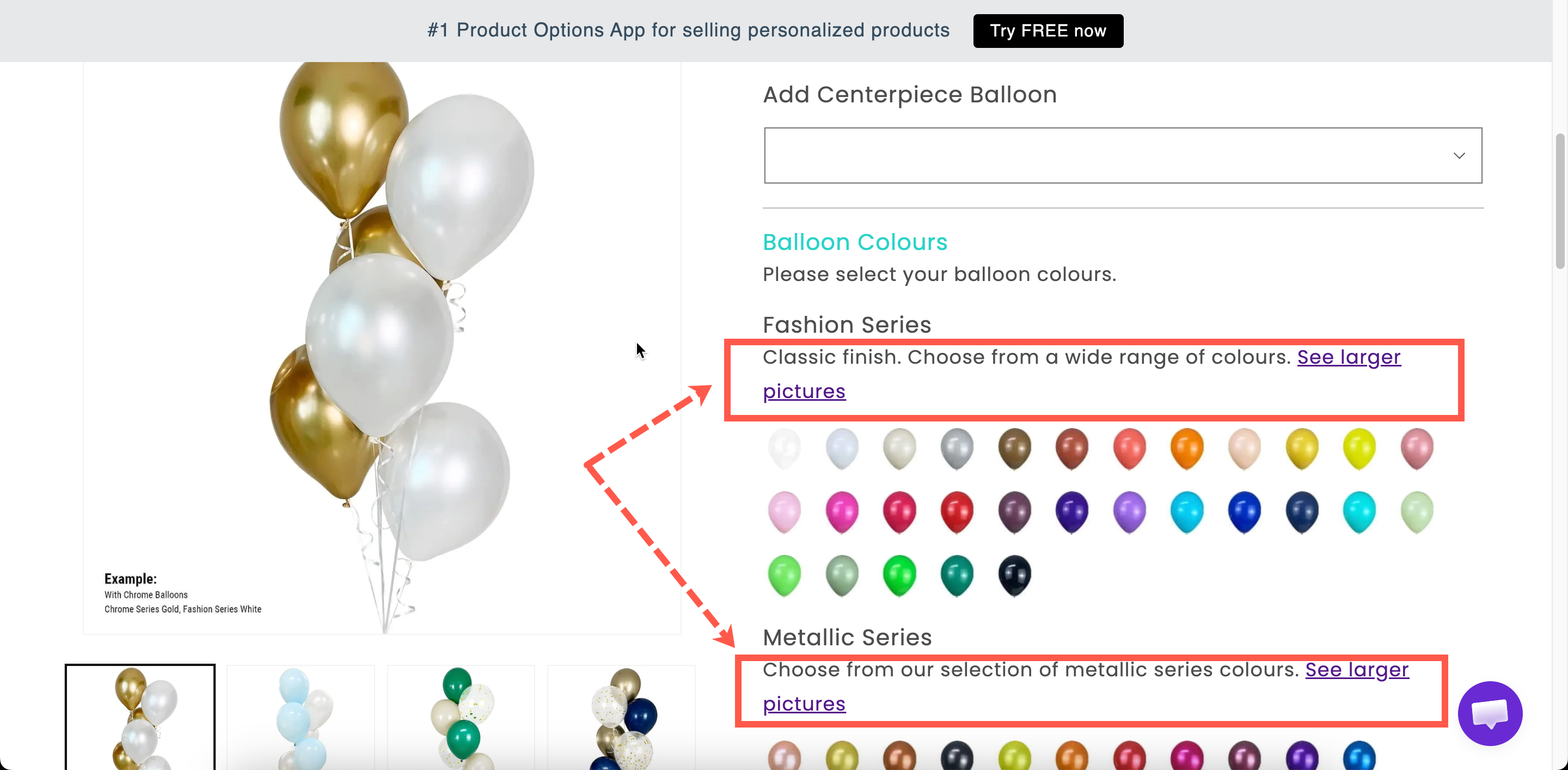 A formatted paragraph on a storefront product page above a group of options