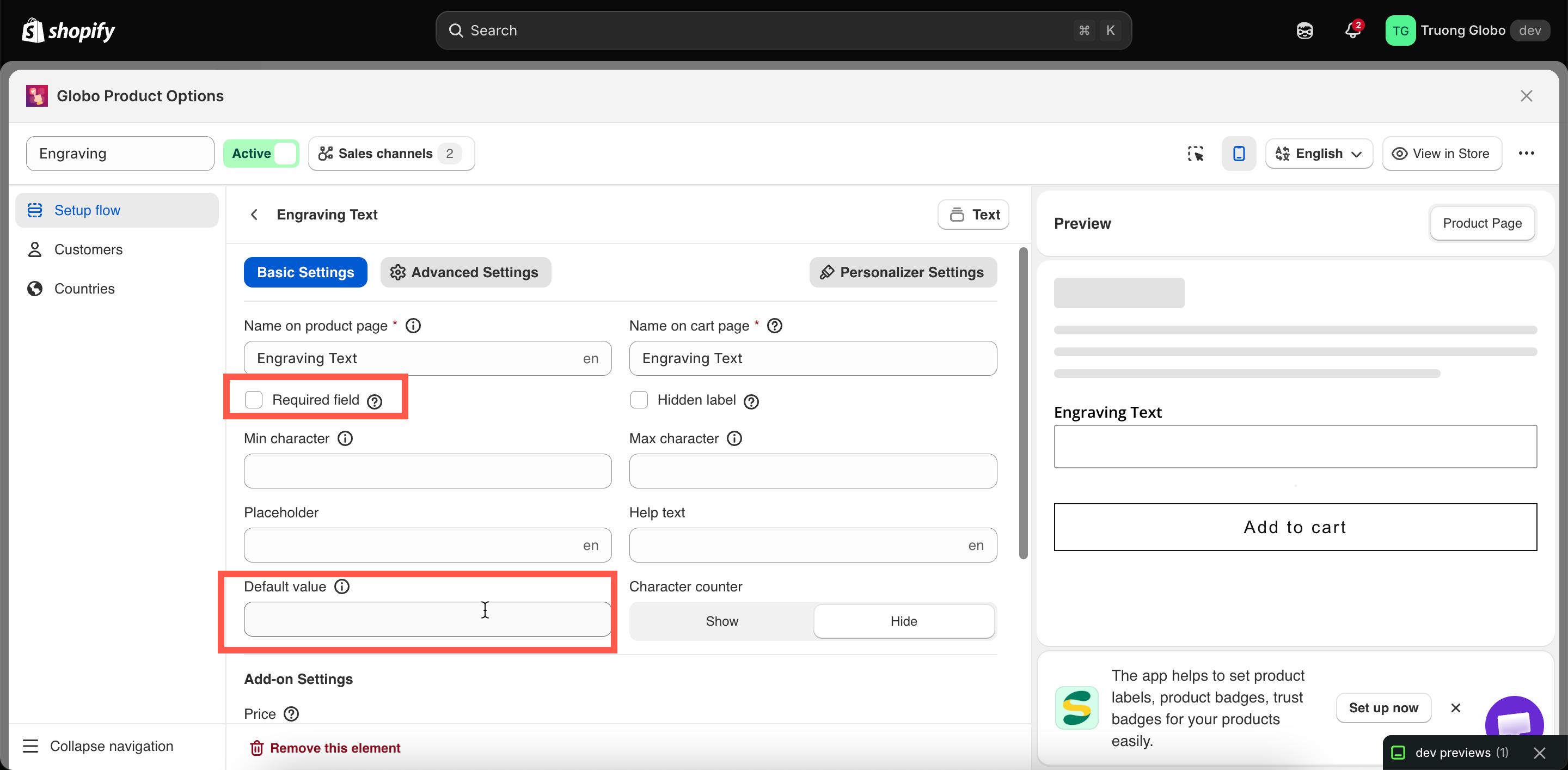 An option's Basic tab with Required field enabled and a default value selected