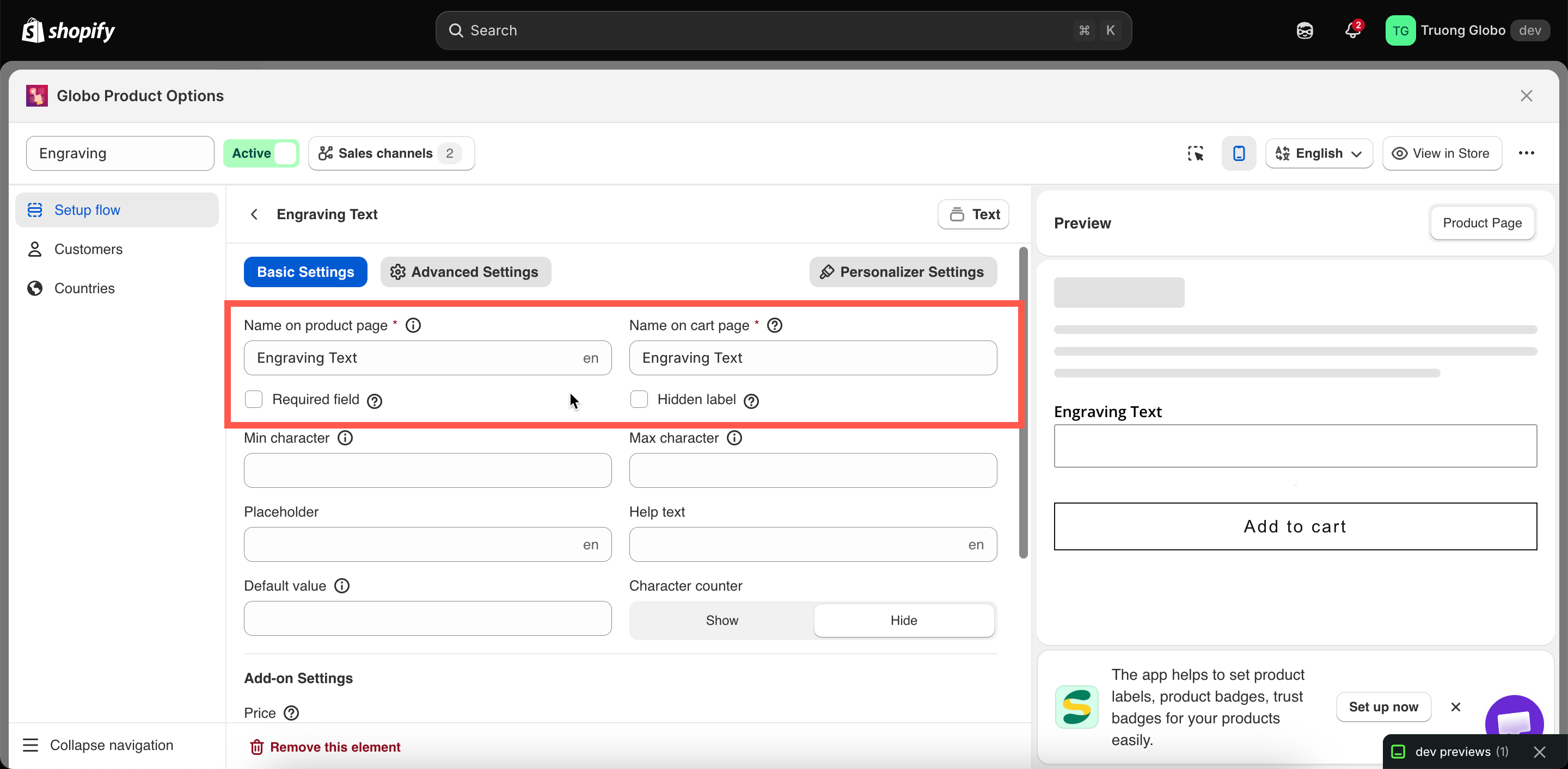 An option's Basic tab showing Label, Name, Required field, and Hidden label